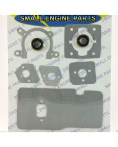 Gasket / Oil Seal Set for CASTELGARDEN XB44D, XB45FP, XB55DP - STIGA SB52P