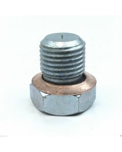 Cylinder Decompression Plug / Screw for HUSQVARNA 395XP up to K760 [#503552201]