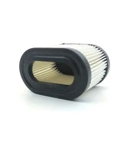 Air Filter for TECUMSEH LEV115-120, OVRM60-65-105, TVS90-115-120 [#36745]