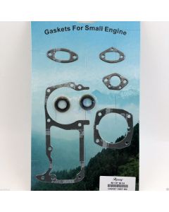 Gasket & Oil Seals Set for HUSQVARNA 154, 254XP, 257 [#501879604]