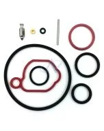 Carburetor Overhaul Kit for BRIGGS & STRATTON Engines [#590589]