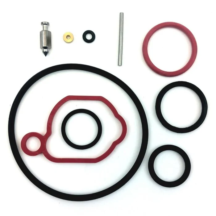 Carburetor Overhaul Kit for BRIGGS & STRATTON Engines [#590589]