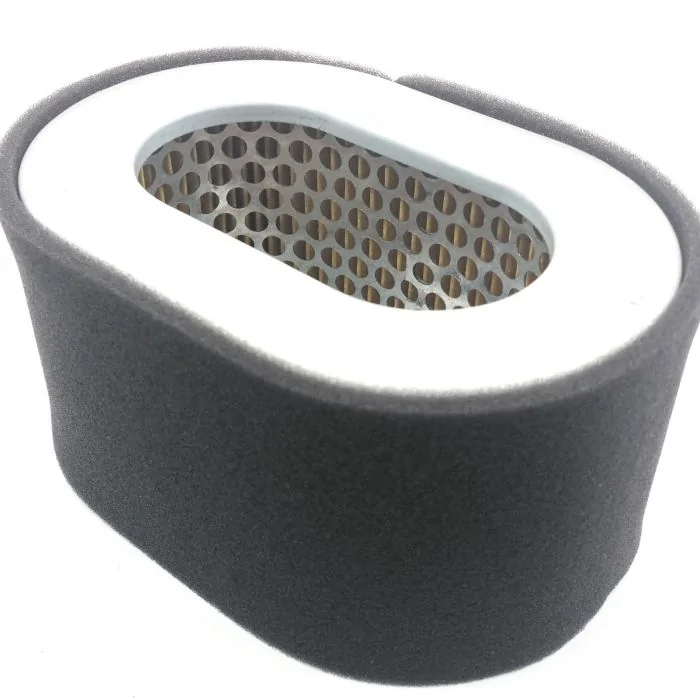 Air Filter for YANMAR YDG3000, YDG3501, YDG3800, YDG4500, YDG5500 [#11465012590]