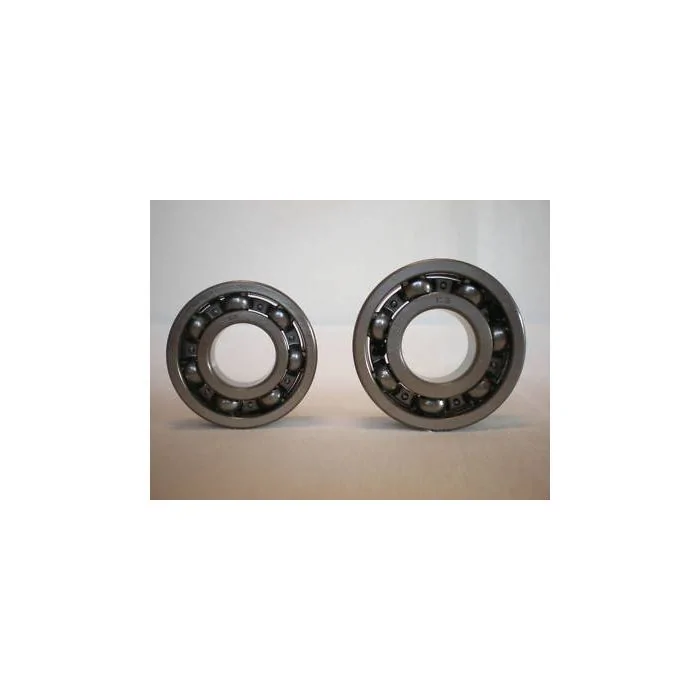 Crankshaft Bearing Set for STIHL TS400 - TS 400 [#95030030341, #95030030450]